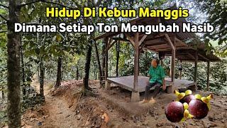 BAGAIKAN BERLIAN YANG SANGAT BERARTI‼️Tinggal Di Rumah Tengah Hutan Jawa Barat