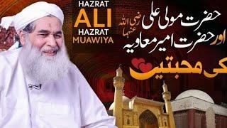 Hazrat Mola Ali Aur Hazrat AmeerMuawiya Ki Mohabbat | Shan e Muavia |Maulana llyas Qadri New Bayan