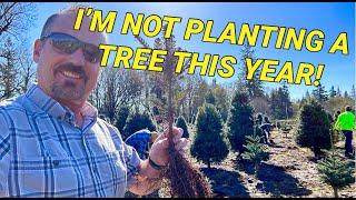 Planting Christmas trees very late this year due to weather