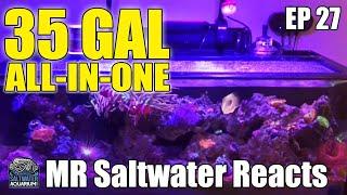 35 Gallon ALL-IN-ONE Saltwater Reef Tank - Mr. Saltwater Tank Reacts