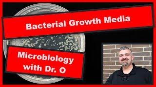 Bacterial Growth Media:  Microbiology