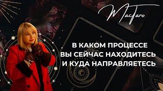 В каком процессе вы сейчас находитесь и куда направляетесь ?