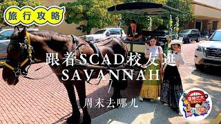 【旅行攻略】Savannah周末小专辑(一)：跟着SCAD校友逛小城