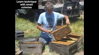 Tips for handling bees by Randy Oliver