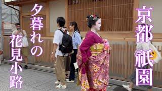 2024年9月19日 夕暮れで賑わう京都祇園花見小路を歩く Walking along Hanamikoji in Gion, Kyoto 【4K】