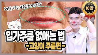 나이들어보이는 입가주름 없애는 방법 - 고양이주름편 해결방법, 꿀팁, 예방법까지
