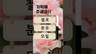 치매예방퀴즈 #korean #치매예방 #재미있는 #두뇌 #퀴즈 #한국어