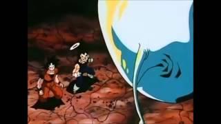 Dragon Ball Z  Momenti Divertenti