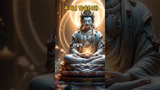 부처님 지혜의 말씀(43), -자존감- #석가모니 #명언 #불경