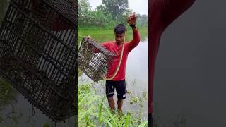 atol ke ander fasgaya kitne bare sap(304) hindi village fishing video #villagefishing