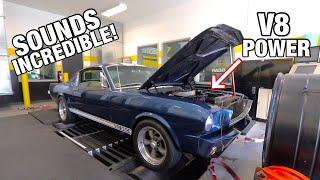 351 Swapped 65' Mustang Hits the DYNO! (How Much Power does it make?)