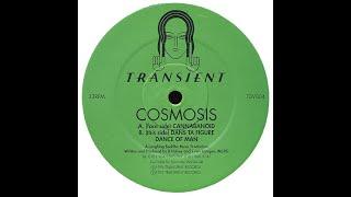 Cosmosis - Cannabanoid (Goa Trance 1995)