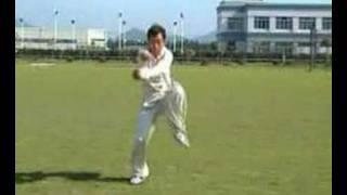 Chen Xiaojia Taijiquan with Master Fan Chun-Lei