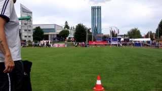 Arween vom Grosses Herz. ADRK 2013