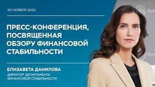 Пресс-конференция директора Департамента финансовой стабильности Банка России Елизаветы Даниловой