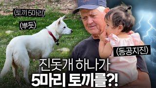토끼 5마리를 잡아온 공주를 보고 깜짝(!!) 놀란 미국 할아버지