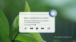 ️Dale un DESCANSO a tu mente. PAUSA, respira y déjate llevar por la serenidad de la lluvia 5MIN