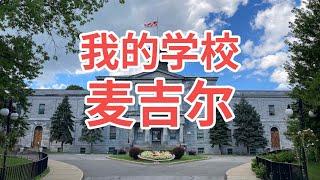 说说我的学校麦吉尔大学 [McGill University Campus Tour]