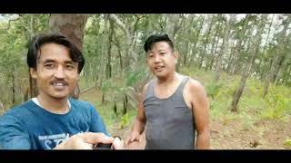 RANDOM VLOG IN JUNGLE || SEARCHING WILD MUSHROOM || GREENERY OF SAL FOREST IN SOUTH SIKKIM ||