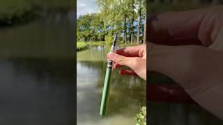 Mega Carp on the world smallest Rod🫨 #fishingvideo #fishing #fish