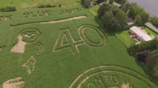 Blue Jays Corn Maze