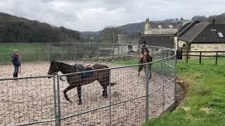 Aussie Breeze & Whatcolourishe
