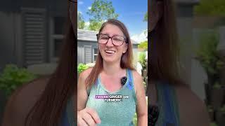 What to Grow in April in Florida