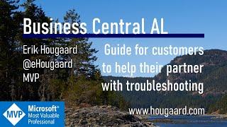 Guide for customers to help their partner with troubleshooting Business Central