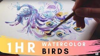 1 HR Painting COMPILATION l Birds with Relaxing Watercolors