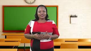 Science - Grade 5: Light & Electrical Energy