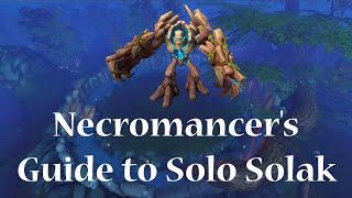 Necromancer's Guide to Solo Solak