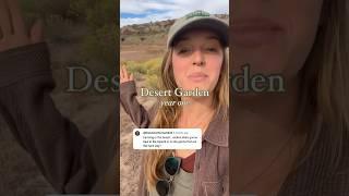 Who Knew?! Desert Garden Year ONE  #garden #desertlife #diy