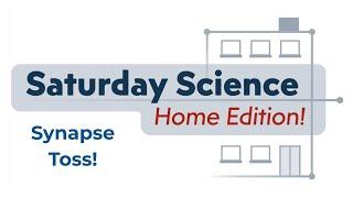 Saturday Science: Home Edition - Synapse Toss