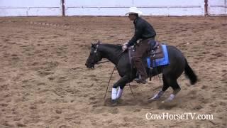 Todd Bergen: Reining to Reined Cow Horse