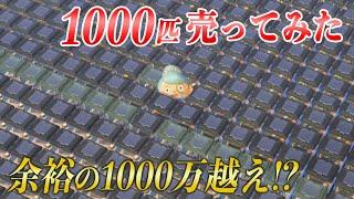 【あつ森】レアな生き物を大量に売ったら1000万越え？！離島で捕まえた高額な値段の魚や虫を売ってお金稼ぎ！レックスやジャスティンに売って効率よく稼ぐ方法【あつまれどうぶつの森　生き物　コンプリート】