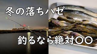 【ハゼのちょい投げ釣り】冬のハゼはこれだけで楽勝！【豊川放水路】