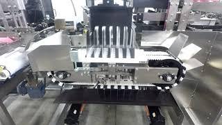 Knock Down Case Packer with High Speed Race Track for Cartons | Massman Automation