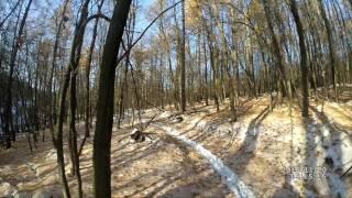 Охота на косулю | Roe deer hunting