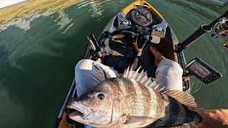 How to Catch Sheepshead with Jigs