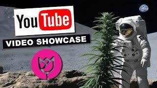 LUMA CALIFORNIA FARMS - VIDEO SHOWCASE (some of our best YouTube videos)