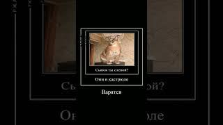 пельмень в костлюре