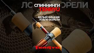 СПИННИНГИ TENRYU | БЕЛЫЙ ХИЩНИК | ЛОВЛЯ ФОРЕЛИ #troutarea #спиннинг #голавль #jpsnasti #troutarea