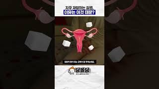[당몰당] 자꾸 재발하는 질염, 이유는 이것 때문?