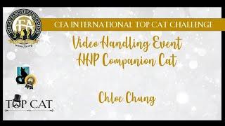 CITCC - Chloe Chung's Household Pet/Companion Cat - Video Event Final