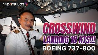 CROSSWIND LANDING 18 KTS!! Boeing 737-800 JOHANNESBURG to SEYCHELLES