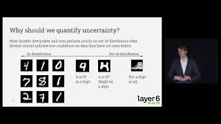 Quantifying the Uncertainty in Model Predictions