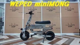 E-Bike WEPED miniMONG 위페드 미니몽 전기자전거 팻바이크 자토바이