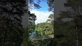 Britain's longest suspended rope bridge opens at The Blue Pool in Dorset