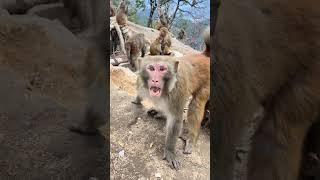 ️️ #funny #reels 7744
