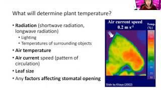 Indoor Ag Sci Cafe #13 - Back to Basics: Plant Responses to Temperature